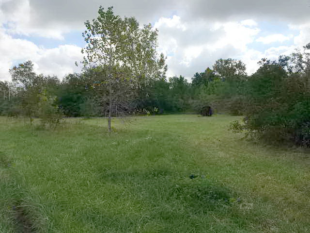 Butch Cassidy Drive-In - 2016 Photo (newer photo)